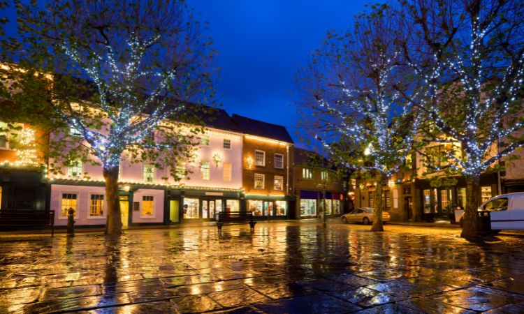 Christmas lights in trees in York