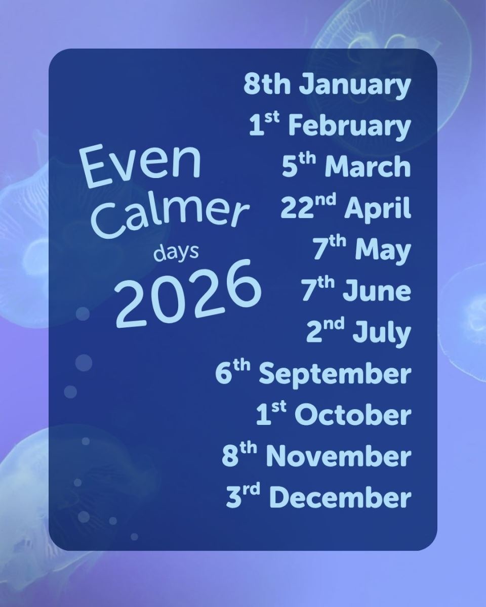 Bristol Aquarium Even Calmer Days 2026 - Accessible Holidays - Tourism ...