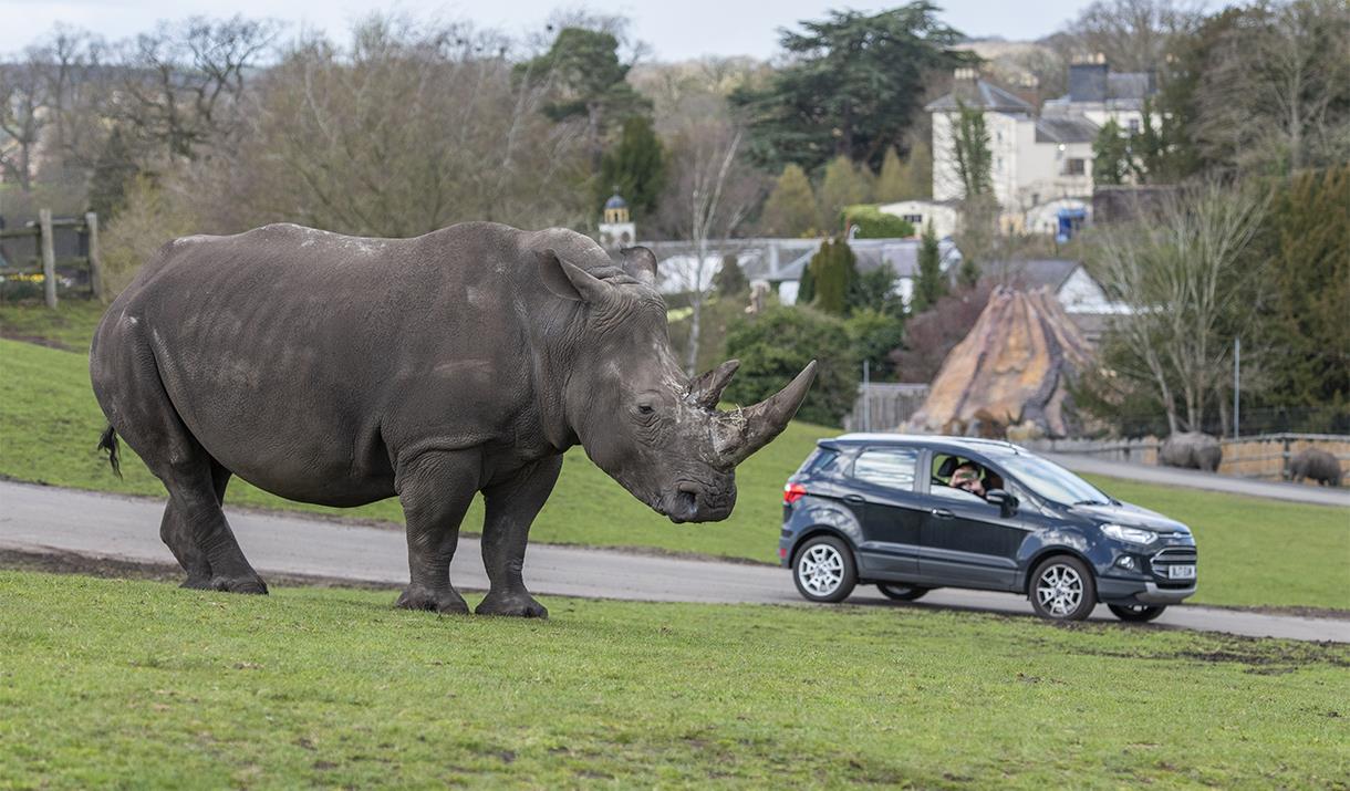 bewdley west midlands safari park