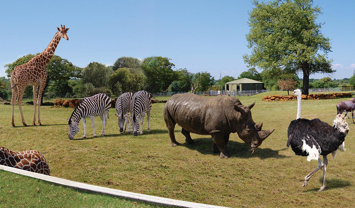 Africa Alive! Lowestoft Accessible Holidays Tourism For All